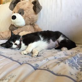 D 38b69d50 1371 42cb 991d fbb5cf76d80b