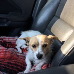 D 0f246d82 f221 416c bd53 6196a0ef2a84