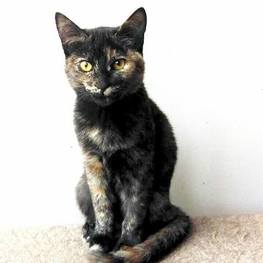 D 92339675 30c9 4d9b beaa 024dff198a98