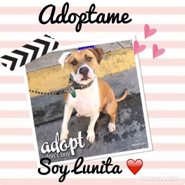 D aeeb3164 fecc 4c56 bc5c 3f2cf4d070f1