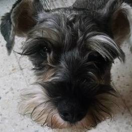 D ccb29b4c 61a8 4db3 9f44 9ffeb34c1b51