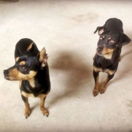 D 0addacee bd4d 461a 90ef 7662689872b1