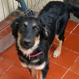 D 1a6b0c11 b6ca 41f0 9c71 bb3926751af0