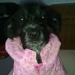 D cf52555d e447 4e1f b71a d657f8608254