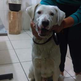 D cc892b06 82c8 4a40 924b 2f7ed3235e04