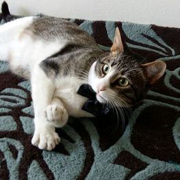 D 966dffb4 84ce 467c 8e6c 3d9d7e075137