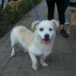 D 396f6218 9d93 4255 9ac3 8aa6b226dff6