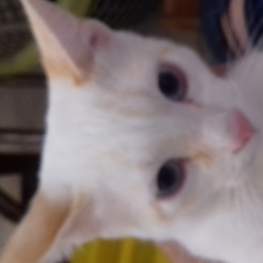 D c2a122d9 2cce 4156 92d3 5e711dcb03cc