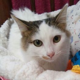 D 1be63ac8 b79c 4f4f 88f8 c545d56724fb