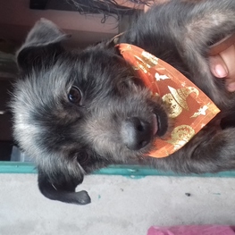 D b157196c 54b7 4c02 8ad5 9777caf2d65a