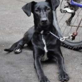 D 40aedf24 5de6 420a af87 9c2a9ea2cffd