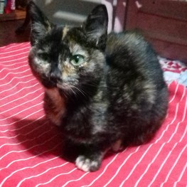 D c442f14e e1ac 4000 a672 66cffa70a59a