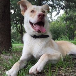 D 72776943 58b7 4775 bdc3 94b2f6c1e4d8