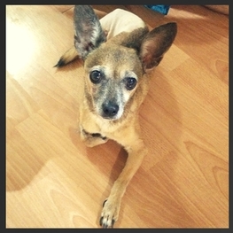 D 54710506 aad6 4224 a114 da2860b2787d