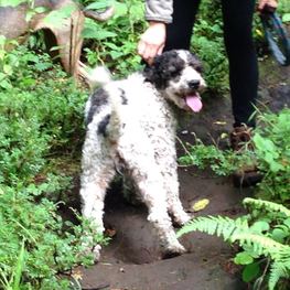 D e1453302 b542 44aa 9cb8 5389e2d4114d