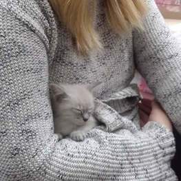 D 0b2f9d6b 5550 48ae a0f5 5c0e1aefa48a