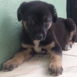 D bf5fd669 94ae 4fc7 8da9 632996fac3e0