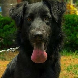 D 07acafd9 950c 4ebb 8735 cc62a98c99ee