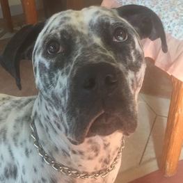 D 74b21502 6a6f 4814 ba0f 7ba2dd95a529