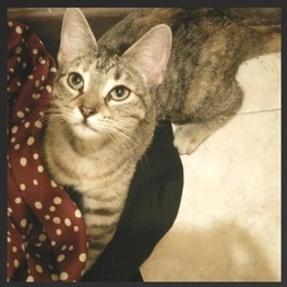 D 7b4fd3b1 55ba 4151 9e68 f3a2fb7d3895