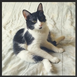 D 8e85500c 7f82 448f 890c 8b858725826e