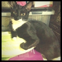 D bbce9305 c326 4927 99eb 9db15ecc812d