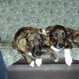 D a7c19f02 d82c 4e91 9aaa 6b77c227f469