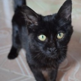 D 12c4a010 5feb 4ad2 9af2 1d9a21a3b67d