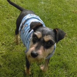 D f59d3075 4693 4b57 ade9 2dfd0e643b03