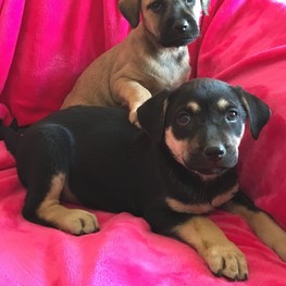 D 31986659 0fef 44eb b268 5994d9bfe5ba