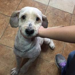 D 2678e16c d651 4a4d a861 c47d8015fedc