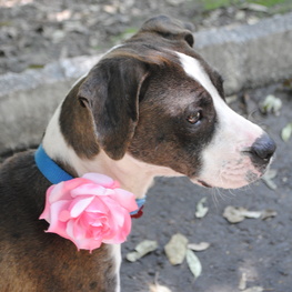 D a878c703 82cb 4bd2 8e0c 62881232048f