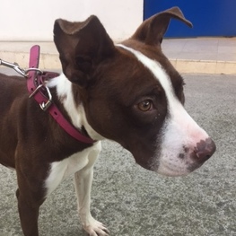 D 9eb7cb61 bfc1 40d4 9941 1ab8043a5fd6