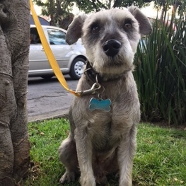 D b0e7008a 4af7 412a 8c98 2f70a6bdfdf9