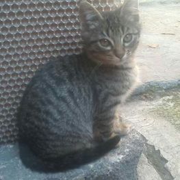 D b42c3fe0 2323 401c 8b65 6dc8f6e03eb8