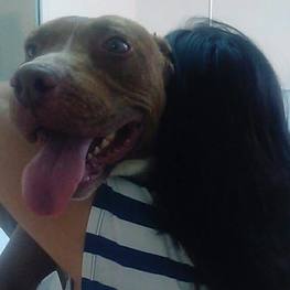 D 0a102736 18d9 4449 874f 6e834fdc0c55