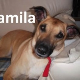 D 34d2646e debb 4781 a148 0e519073d1d3