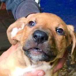 D ecc752d9 d013 406d 8b8a 28035479aa03