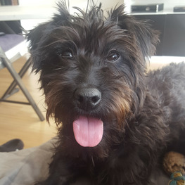 D 884b7d3a 02b8 4875 ae25 5532228561aa