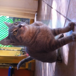 D e9387868 4cec 465a b5cf 7e6e28be1929