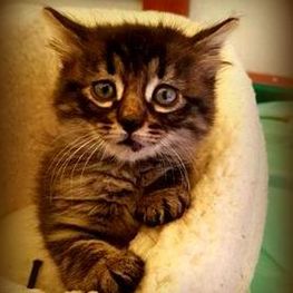 D cbd86276 580c 421f 80e2 135533e432c6