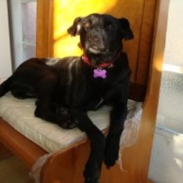 D 7eebd876 fa02 4cd6 a714 29e66bdf676e