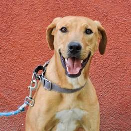 D 14e8074e 448e 4211 9330 0f7a2561ae3a