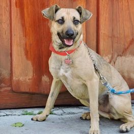 D 49d7f311 8cdf 454f a077 1d71ce7b63e4