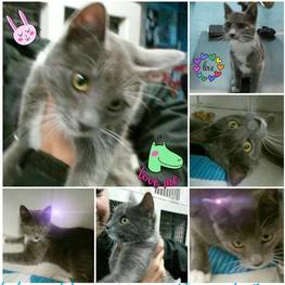 D 1f22cfb7 d4f1 4524 b8ab b677acabd0e2