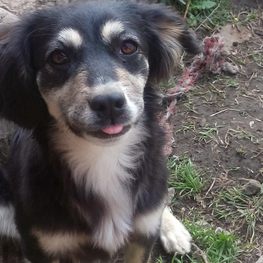 D 0c40385a e5f6 49d3 8e1e 02d280ebbb4f