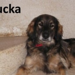 D c3c728a2 0709 44c3 b743 fce3bbf004d9