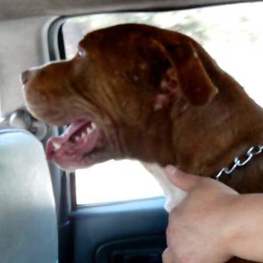 D abf7a164 ca69 4f6d 9418 8b04f4301b9e