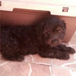 D 4b213413 5015 4aa7 b341 a3d7df9de286