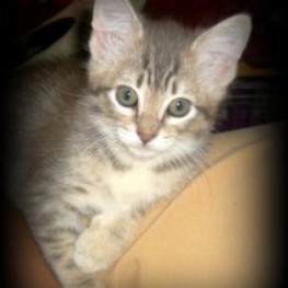 D 6019847b 8e2f 4ee8 ae79 679ef7a5391e